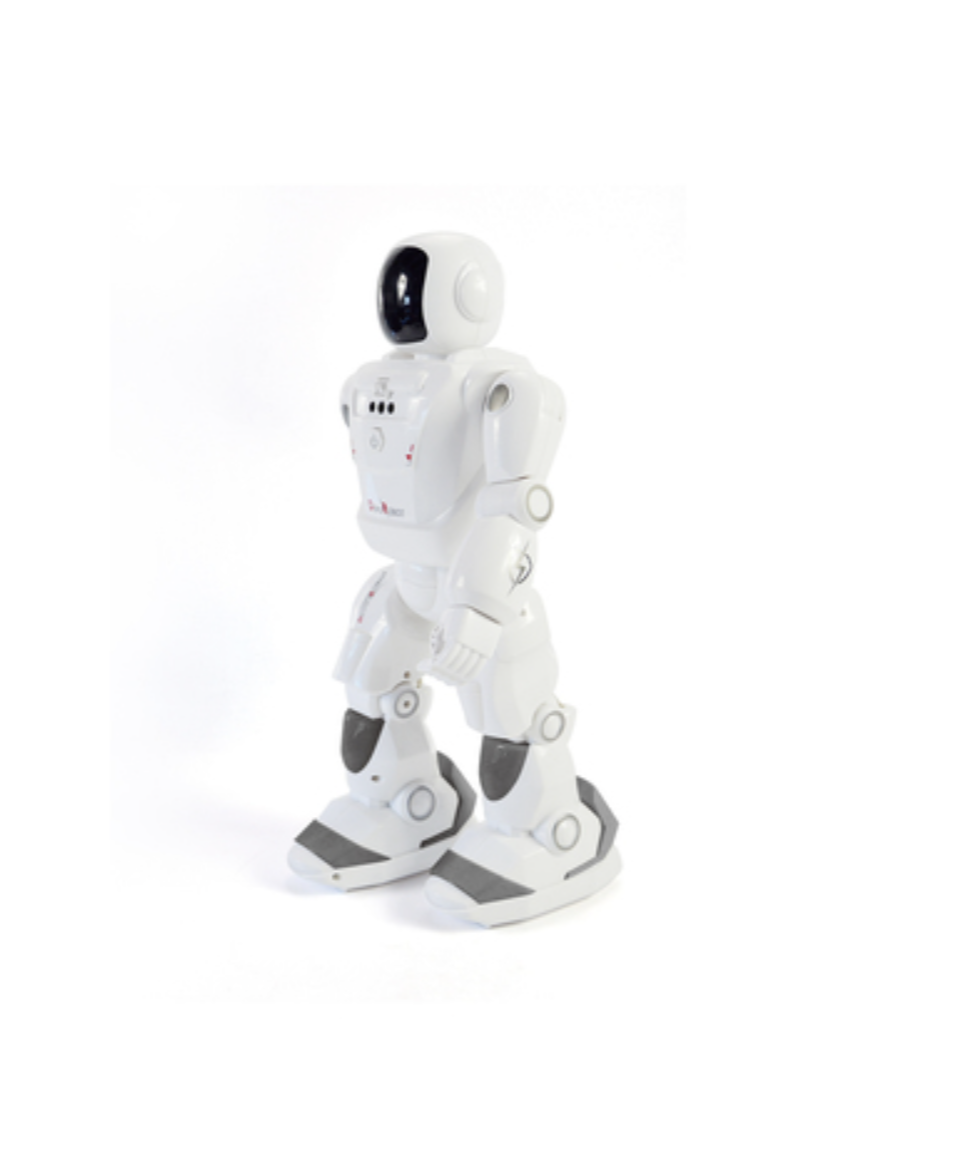 Big Smart Interactive Devo Robot